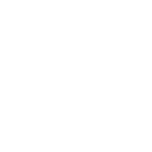 Tasami logo